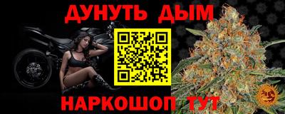 Альфа ПВП Моздок
