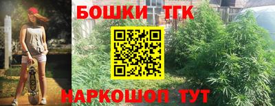 Альфа ПВП Моздок