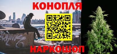 Альфа ПВП Моздок