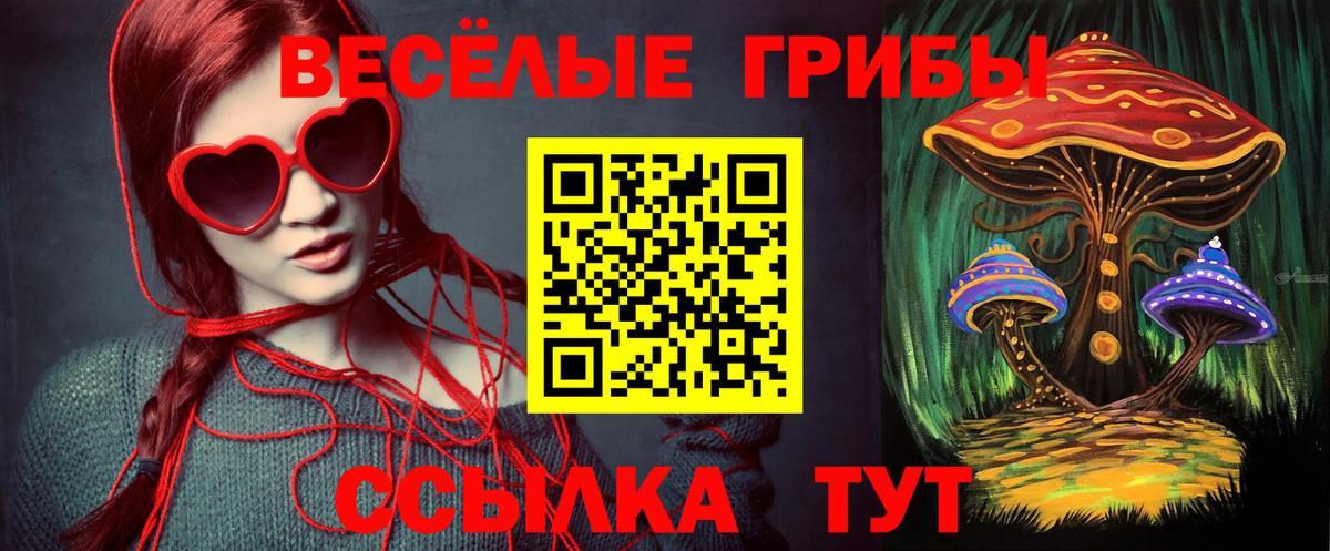 Псилоцибиновые грибы GOLDEN TEACHER Чернушка