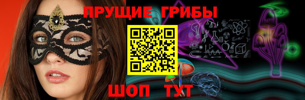 Чернушка  Псилоцибиновые грибы Psilocybe  Вход с VPN  Псилоцибиновые грибы MAGIC MUSHROOMS 